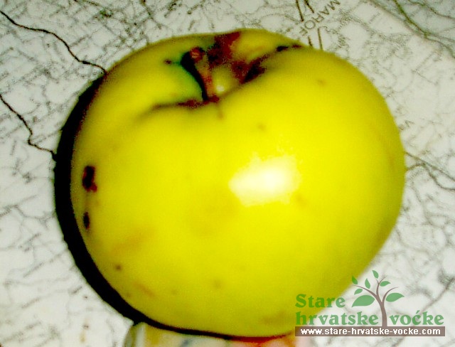 Aršpeger - stare sorte jabuka