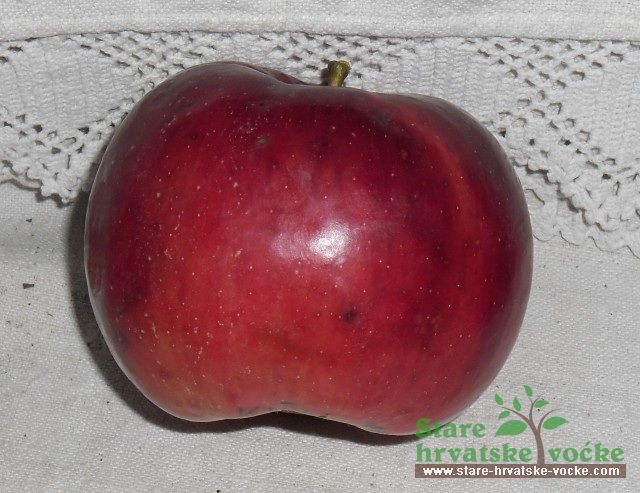 Bobovača - stare sorte jabuka