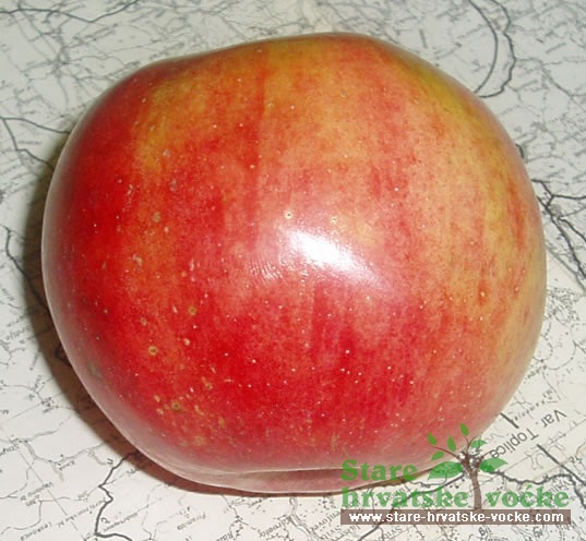 Bravina - stare sorte jabuka