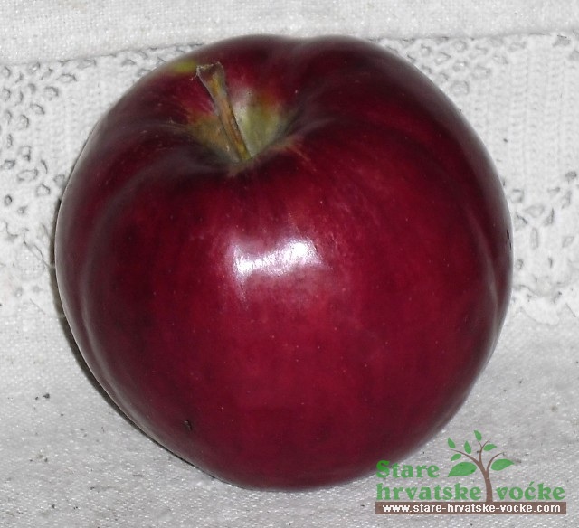 Cigančica krupna - stare sorte jabuka