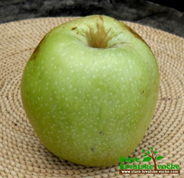 Funtovica jesenska - stara sorta jabuke