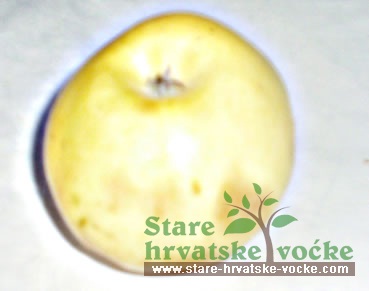 Ljetna Ždala - stare sorte jabuka