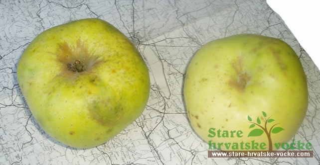 Lopatača - stare sorte jabuka
