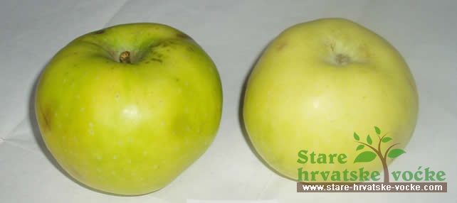 Mađaron - stare sorte jabuka