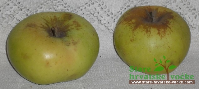Matatanka - stare sorte jabuka