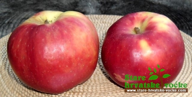 Mirišljava - Budići - stare sorte jabuka