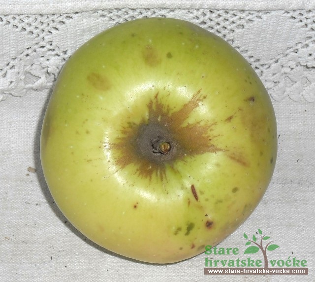 Novovirka - stare sorte jabuka