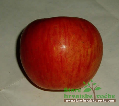 Parumenka - stare sorte jabuka