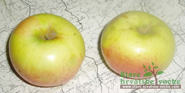 Rešćica - stare sorte jabuka