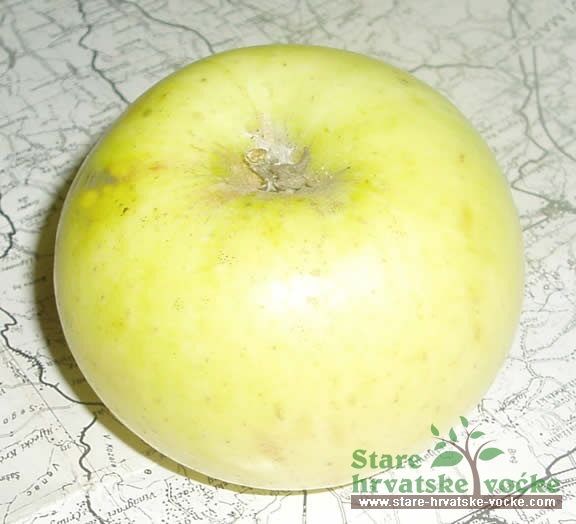 Reščica 2 - stare sorte jabuka