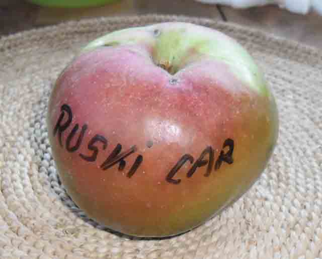 ruski car