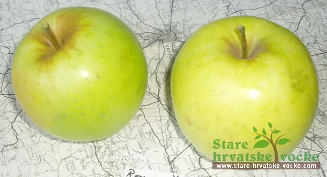 Velika Ratković - stare sorte jabuka